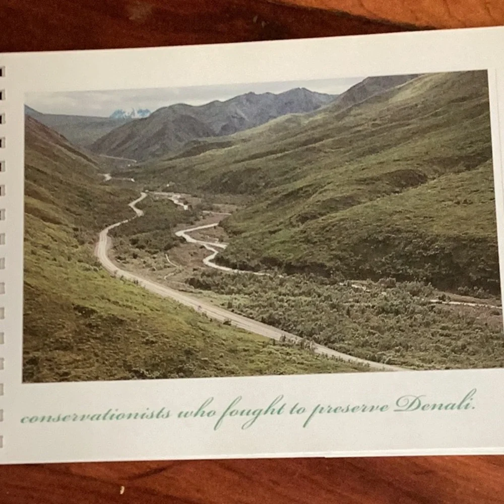 Vintage 🏔️ stunning